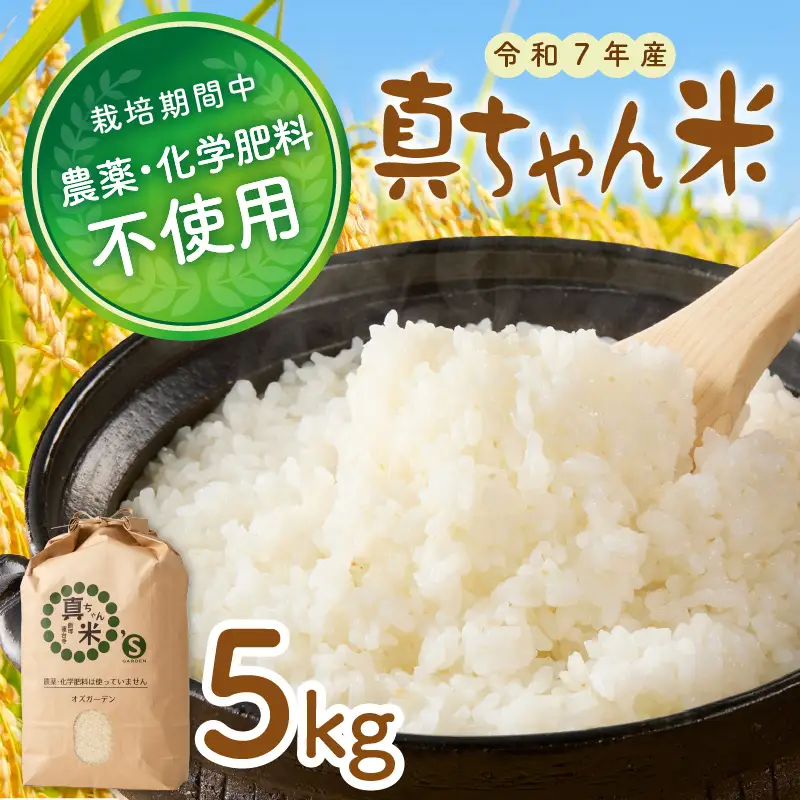 【令和7年産】農薬・化学肥料不使用 真ちゃん米 5kg【B7-036】