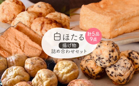 白ほたる豆腐店揚げ物詰め合わせセット 惣菜 手づくり 油揚げ 厚揚げ がんも 生姜がんも 玉ねぎがんも 