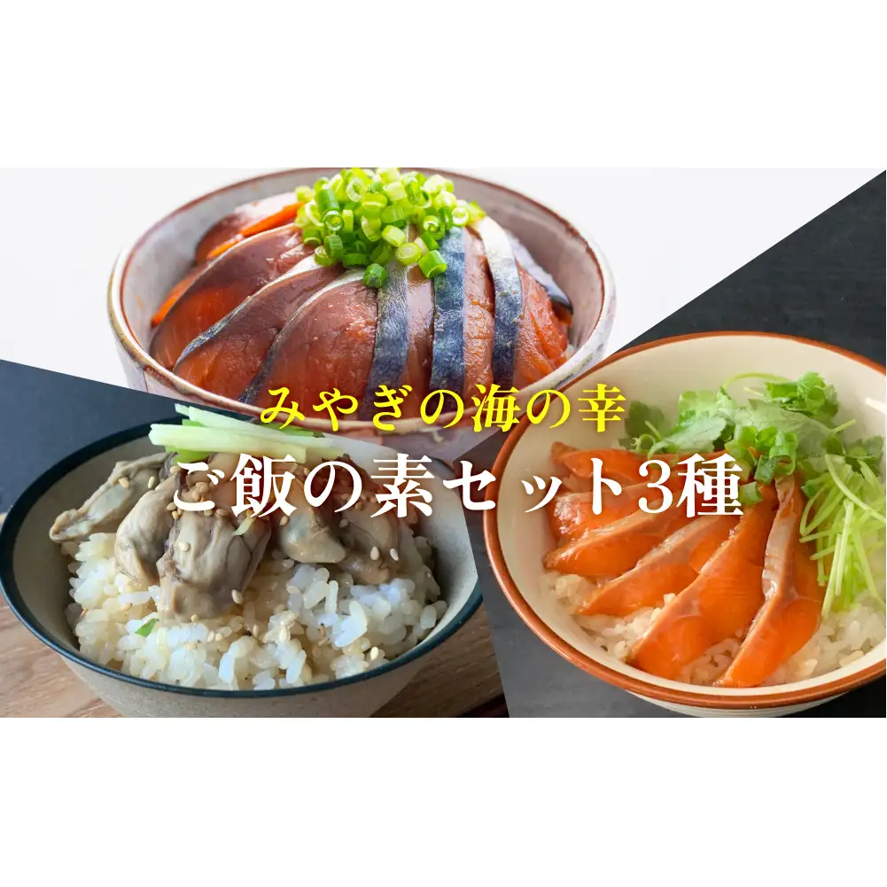 みやぎの海の幸 ごはんの素3種セット 金華さば みやぎサーモン 漬け丼 カンタン調理 牡蠣 炊き込み 混ぜ込み 宮城 石巻 本田水産
