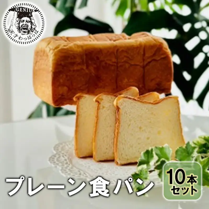 【ふるさと納税】 プレーン食パン10本セット (ご機嫌モーニング) パン ぱん 食パン ブレッド おいしい プレーン 朝食 朝ごはん 朝  数量限定 訳あり ふるさと納税 ふるさと 人気 おすすめ 送料無料 兵庫県 三田市 [3d28bae530003]