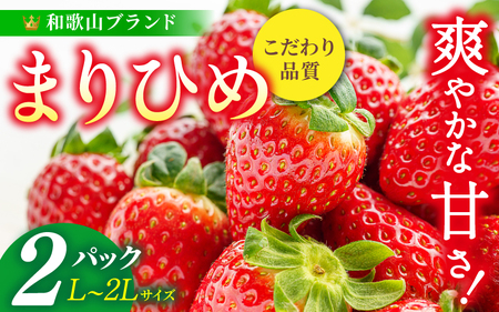 まりひめ イチゴ L～２L 12粒～15粒×2パック【2027年1月中旬～3月下旬頃に順次発送】【BK007-kgr007B】