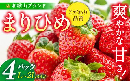 まりひめイチゴ L～２L 12粒～15粒×4パック【2027年1月中旬～3月下旬頃に順次発送】【先行販売】【KG8】【BK008-kgr008B】