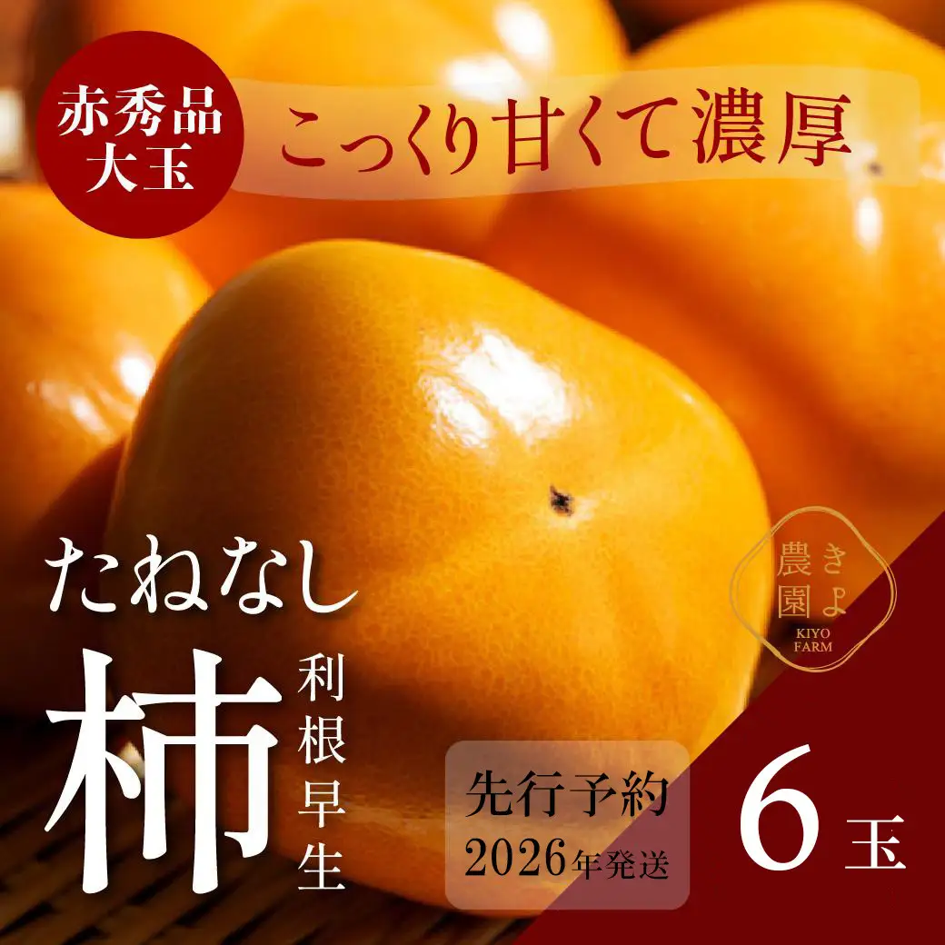 柿(種無し) 6個入 秀品大玉［2026年9月末頃より発送］［KT1］