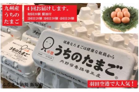 うちのたまご醤油セット(4回お届け)【D5-021】
