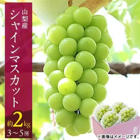 【2026年発送】山梨市 シャインマスカット(約2kg)3～5房入り 化粧箱入り【配送不可地域：離島・沖縄県】【1484816】