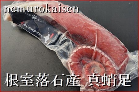 【北海道根室産】刺身用真だこ足800g～1.2kg前後×1本 A-57059