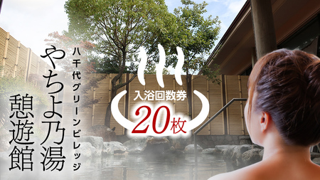 八千代グリーンビレッジ 「 やちよの湯 憩遊館 」 温泉 入浴 回数券 （ 20枚 ） 入浴券 おんせん 入浴チケット 旅行 ふるさと納税 34000円  [AN015ya]