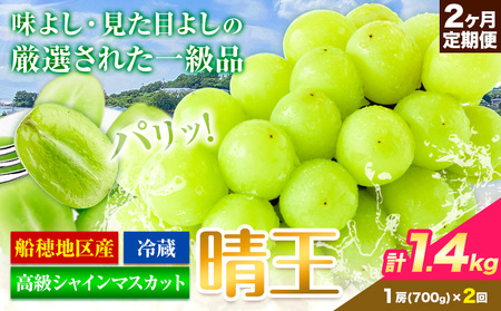 高級 シャインマスカット 2ヶ月 定期便【先行予約】ぶどう 晴王 1房700g×2ヶ月 計1.4kg 岡山県産《9月上旬-10月末頃出荷(土日祝除く)》 ハレノフルーツ マスカット 送料無料 岡山県 浅口市 フルーツ 果物 贈り物 ギフト 国産 岡山県産【配送不可地域あり】（北海道・沖縄・離島）