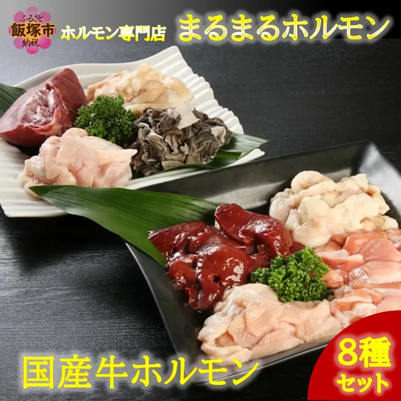 ホルモン専門店の国産牛ホルモン8種セット！【D5-043】