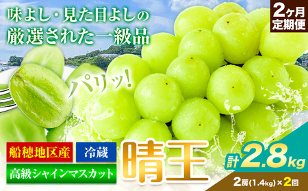 高級 シャインマスカット 2ヶ月 定期便【先行予約】ぶどう 晴王 岡山県産 2房 2.8kg《9月上旬-10月末頃出荷(土日祝除く)》 ハレノフルーツ マスカット 送料無料 岡山県 浅口市 フルーツ 果物 贈り物 ギフト 国産 岡山県産【配送不可地域あり】（北海道・沖縄・離島）