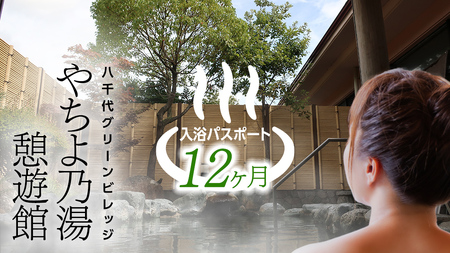 八千代グリーンビレッジ 「 やちよ乃湯 憩遊館 」 温泉 入浴 パスポート （ 12ヶ月 ） 入浴券 おんせん 入浴パスポート 旅行 ふるさと納税 150000円  [AN016ya]