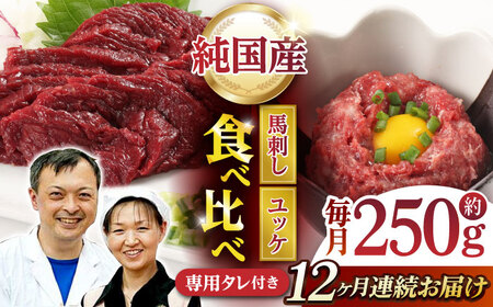【12回定期便】 【純国産】熊本の味 「桜」 馬刺し 晩酌セット (赤身・ユッケ) 約250g タレ付【有限会社 九州食肉産業】[ZDQ146]