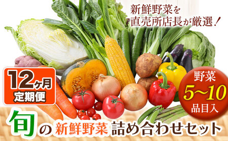 【12ヶ月定期便】旬の新鮮野菜詰め合わせセット