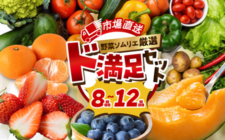 旬の野菜 フルーツ 詰め合わせ ～ 12品 野菜ソムリエ 厳選 野菜セット | メロン いちご トマト アスパラガス トウモロコシ 玉ねぎ 国産 人気 ランキング やさい 野菜 果物 フルーツ 野菜 野菜セット  メロン いちご トマト アスパラガス トウモロコシ 玉ねぎ 国産 人気 ランキング