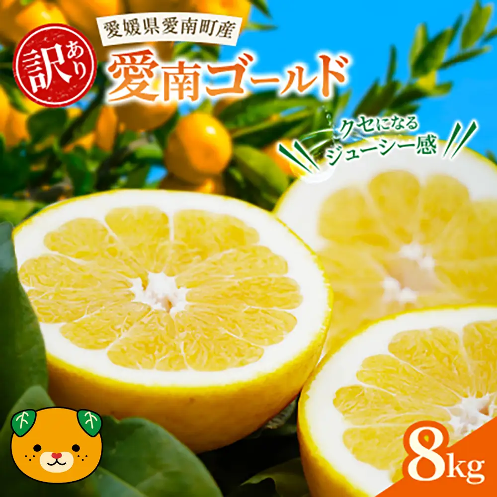 訳あり 愛南ゴールド  【河内晩柑】 8kg