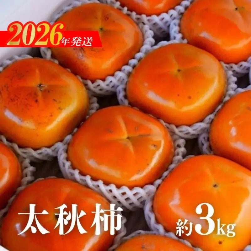 No.2859 太秋柿　約3kg【2026年発送】