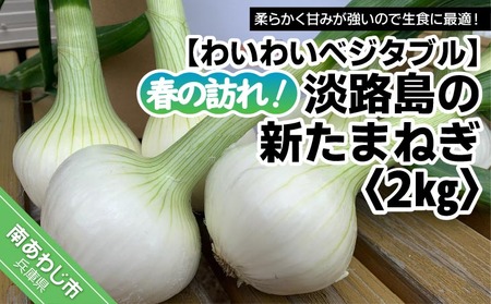 春の訪れ！淡路島の新たまねぎ（2㎏）　◆配送２月～５月下旬