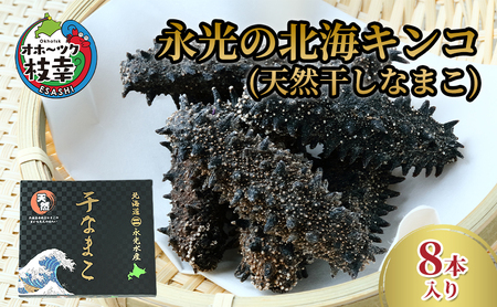 永光の北海キンコ（天然干しなまこ）オホーツク枝幸産【 魚貝類 加工食品 なまこ 北海道 オホーツク 枝幸 】