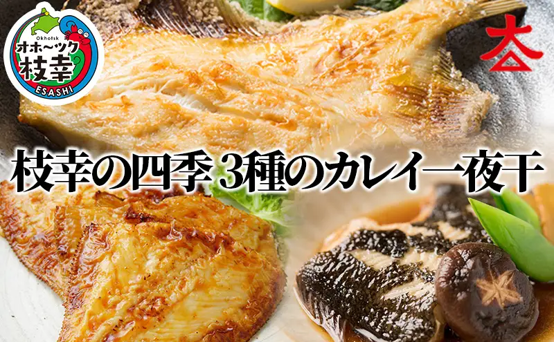 枝幸の四季 3種のカレイ一夜干（宗八カレイ×8・赤カレイ×6～8・ナメタカレイ×4）【 魚貝類 干物 カレイ 北海道 オホーツク 枝幸 】