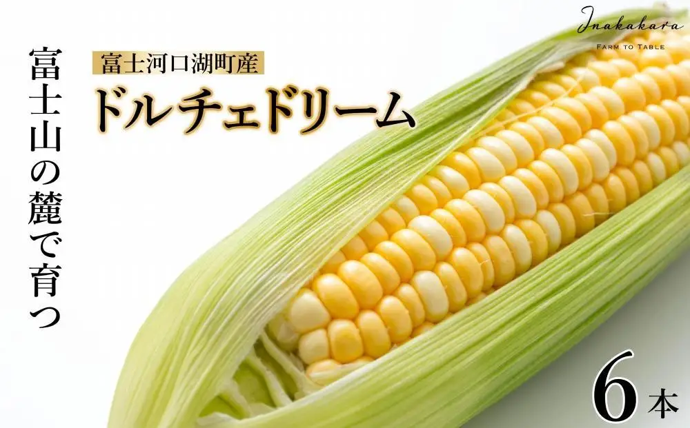 とうもろこし ＜2026年8月～9月発送＞富士河口湖町産Inakakara「ドルチェドリーム」6本 野菜 やさい とうもろこし トウモロコシ コーン 先行予約
