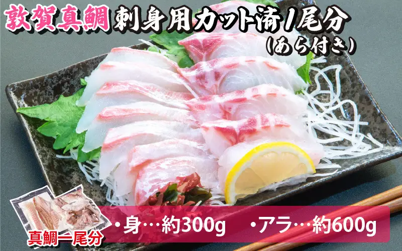 敦賀真鯛 お造りセット[041-a006]
