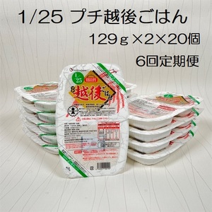 【低たんぱく質食品】【6ヶ月定期便】 1/25 プチ越後ごはん 129g×2×20個×6回 たんぱく質調整食品 バイオテックジャパン 越後シリーズ 1V51150