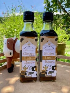 Kocomo’s Ginger Latte Base ジンジャーラテの素 200ml×2本 _S147