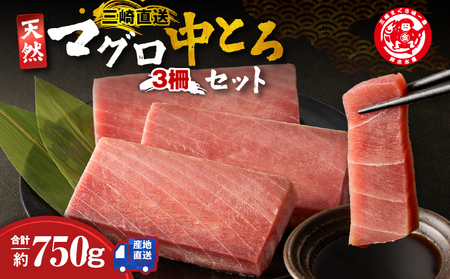 三崎マグロ 鈴木水産 天然マグロ （ 中トロ 3柵 ） セット M105-003 冷凍 マグロ