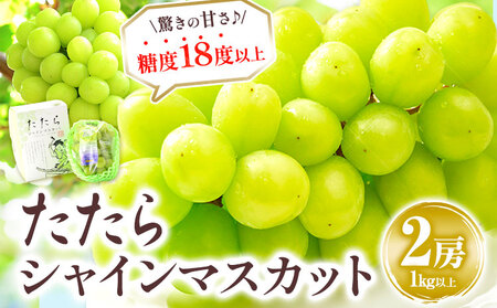 たたらみねらるシャインマスカット 約1kg　マスカット