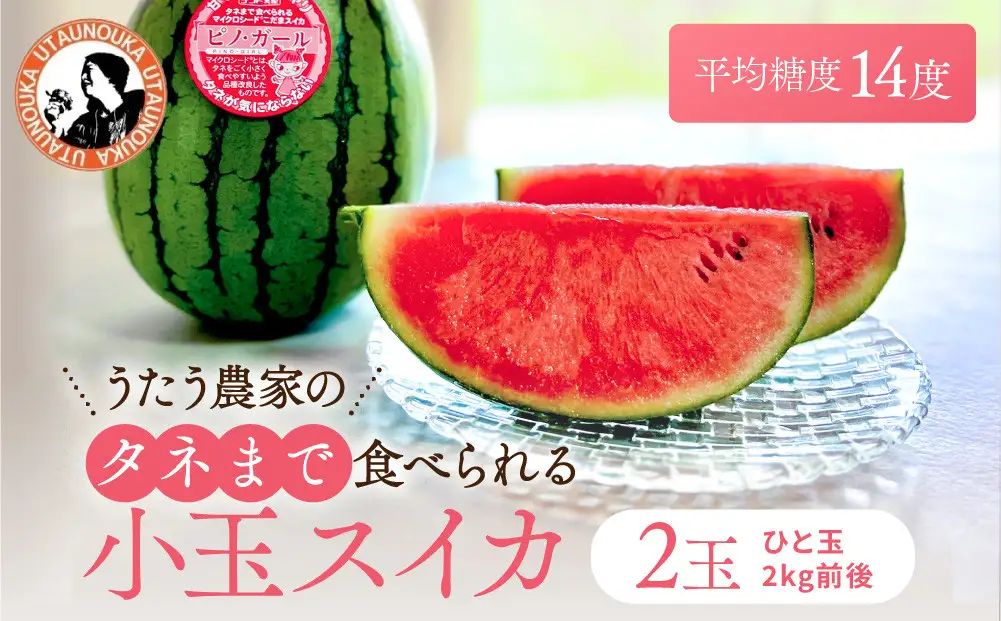 【先行予約】種ごと食べられる！小玉スイカ ピノ・ガール 2玉（1玉2kg前後×2玉）※着日指定不可 ※離島への配送不可 スイカ