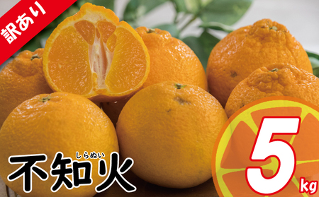 【でこぽんと同品種】 訳あり 不知火 約5kg デコポン 2026年3月中旬頃より発送予定【VEG0241】