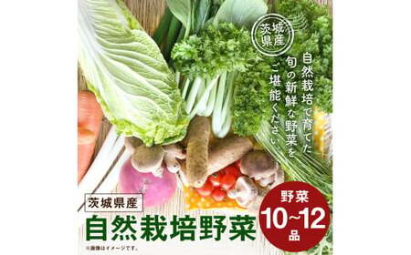 自然栽培野菜 10～12品目 【茨城県共通返礼品・鹿嶋市産・神栖市産・行方市産・潮来市産】(KBE-111)