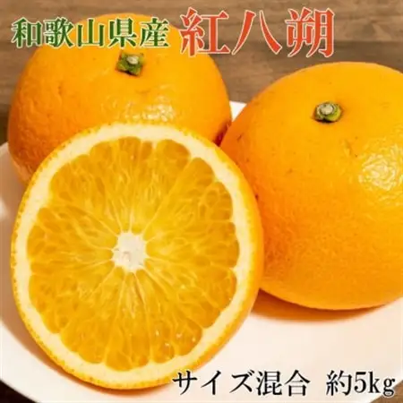 【希少品種】和歌山県産紅八朔約5kg(サイズ混合)(日高町)【1485803】