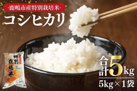 【精米】 こしひかり 5kg 令和7年産 特別栽培米 白米