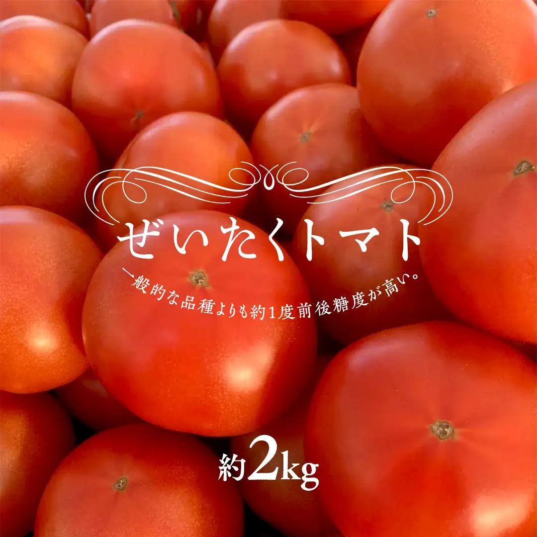 ぜいたくトマト！約2kg ( 9個～12個 ) 