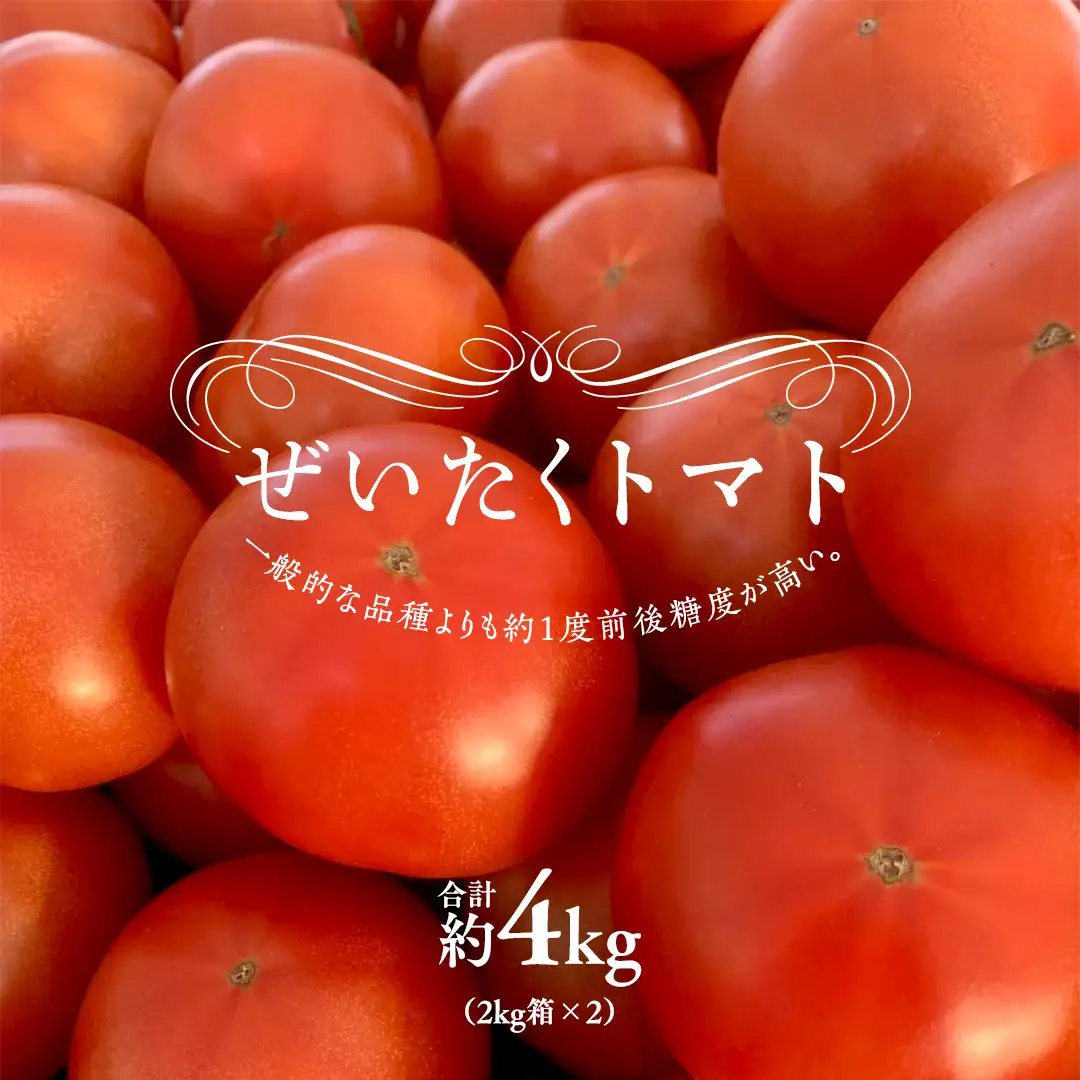 ぜいたくトマト！ 約2kg × 2 合計 約4kg ( 18～24個 ) 