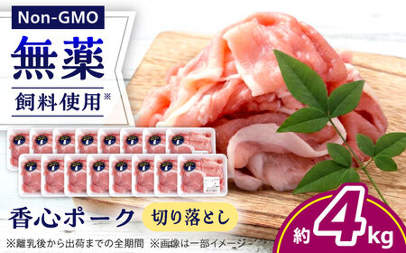 『香心ポーク』 切り落とし 約250g×16パック（計約4kg）豚肉切り落とし 冷凍 熊本県産 [AYCK001]
