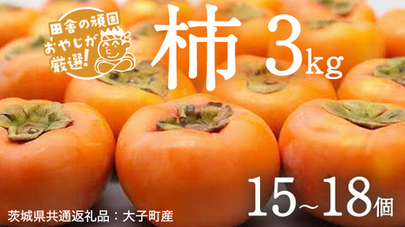 【2026年10月より発送開始】柿 3kg（15〜18個）（茨城県共通返礼品 [柿]：大子町産） 