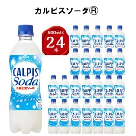 【2ヵ月毎定期便】『カルピスソーダ』PET500ml　24本　隔月全6回_飲料・ドリンク 炭酸飲料 ジュース   定期便 定期便  _【4011135】