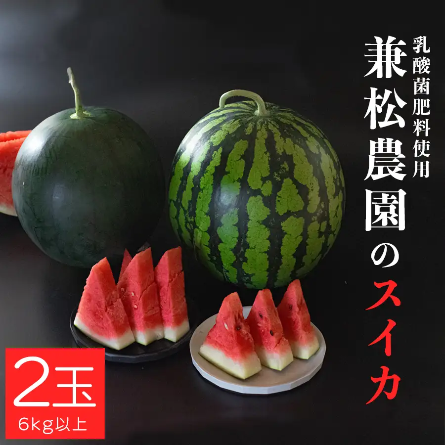 朝採れ すいか 2玉 大玉スイカ （6kg以上） 【先行予約 7月中旬頃より発送】 甘い あまい スイカ 西瓜 羅皇 ブラックジャック 種なし 新鮮 旬 果物 フルーツ 野菜 朝穫り 期間限定 夏ギフト お中元 兼松農園 高知県  大月町産