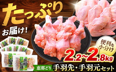 恵那どり 手羽先20本 手羽元25本 小分け セット (約2.2-2.8kg) [TEZ012] 手羽先