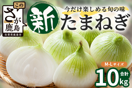 甘～い！新鮮！新たまねぎ 約10kg (MLサイズ）生産者直送！★大自然育ち【2026年4月より順次発送】タマネギ 玉葱 新タマ 新玉ねぎ サラダ 惣菜 お料理 ストック 箱買 美味しい 甘い 常備野菜 佐賀県 鹿島市産 人気 送料無料 B-737