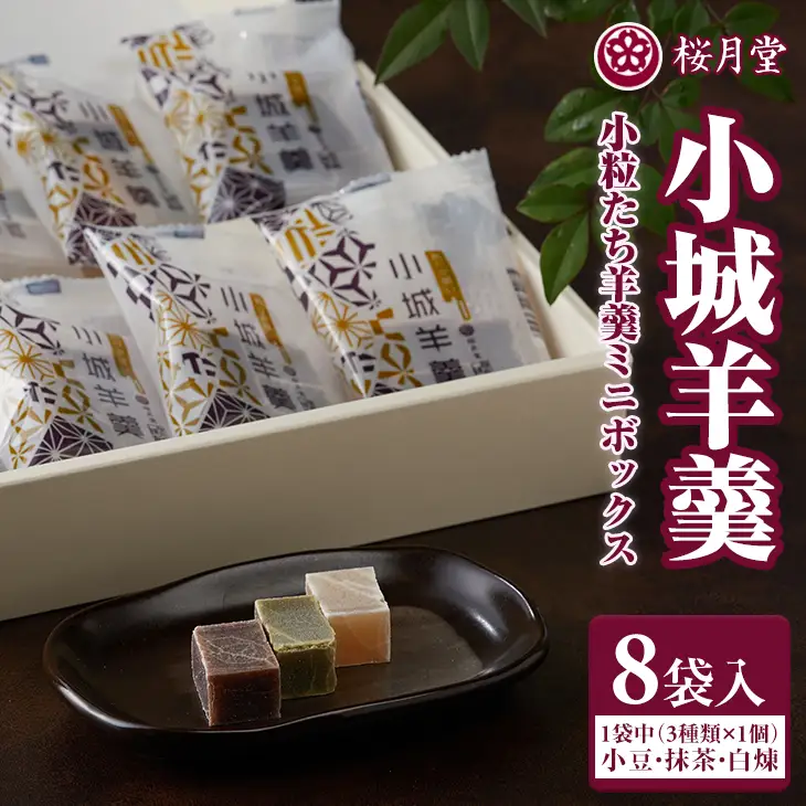 小城羊羹 こつぶたちようかん 8袋入り（3味×各1個） A055-001 羊羹 和菓子
