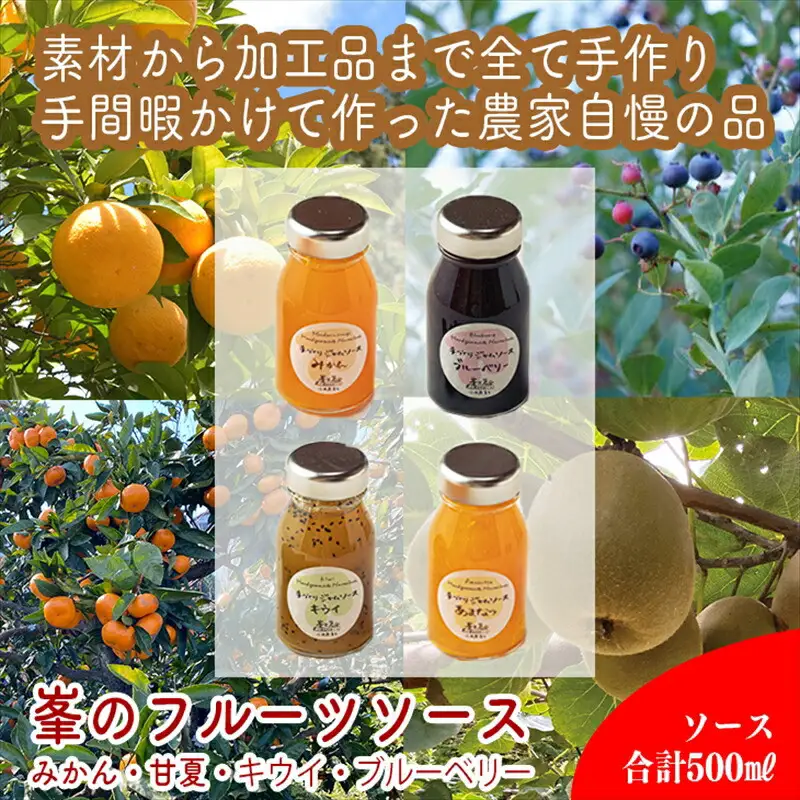 手づくりジャムソース 4本セット 手作りみかん キウイ あまなつ ブルーベリー 125ml 詰め合わせ ギフト 【 家庭用 自宅用 贈答品 贈答用 ギフト お取り寄せ お中元 お歳暮 贈り物 お祝い 神奈川県 小田原市 ジャム ジャム】