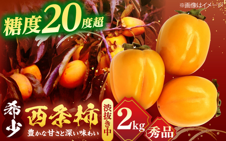 柿 【先行予約】【10個限定】【秀品】 とろ～り甘さの極み！合わせ柿 2kg(8玉?12玉) 島根県松江市/マルカミ農縁株式会社 [ALCM005] 柿 柿