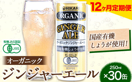 【12ヶ月定期便】 ジンジャーエール  光食品