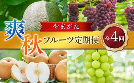 ≪2026年先行予約≫ 全4回 やまがた爽秋フルーツ定期便 FSY-2390