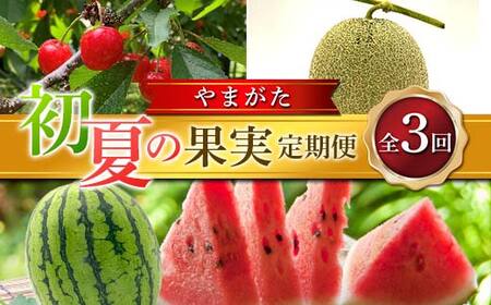 ≪2026年先行予約≫ 全3回 やまがた初夏の果実 定期便 FSY-2373