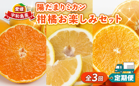 みかん定期便 全3回 陽だまりミカン 家庭用 みかん定期便 B045-050005