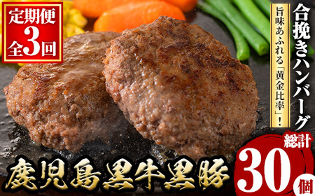 ＜定期便・全3回(連続)＞鹿児島黒牛黒豚ハンバーグ(10個・計1.3kg×3回) 国産 九州産 鹿児島県産 お肉 ぶた ブタ 豚肉 牛肉 ミンチ パック 小分け 冷凍 冷凍ハンバーグ 定期便 頒布会 毎月 おかず 惣菜 調理 お弁当【さつま屋産業】_y445-B